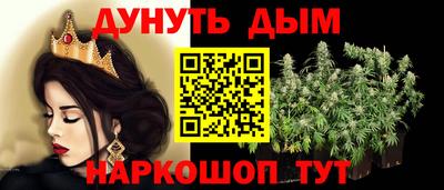 крисы Будённовск