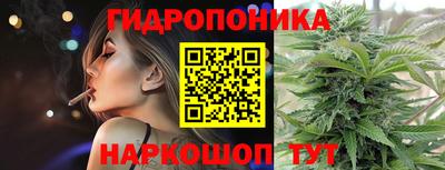 крисы Будённовск
