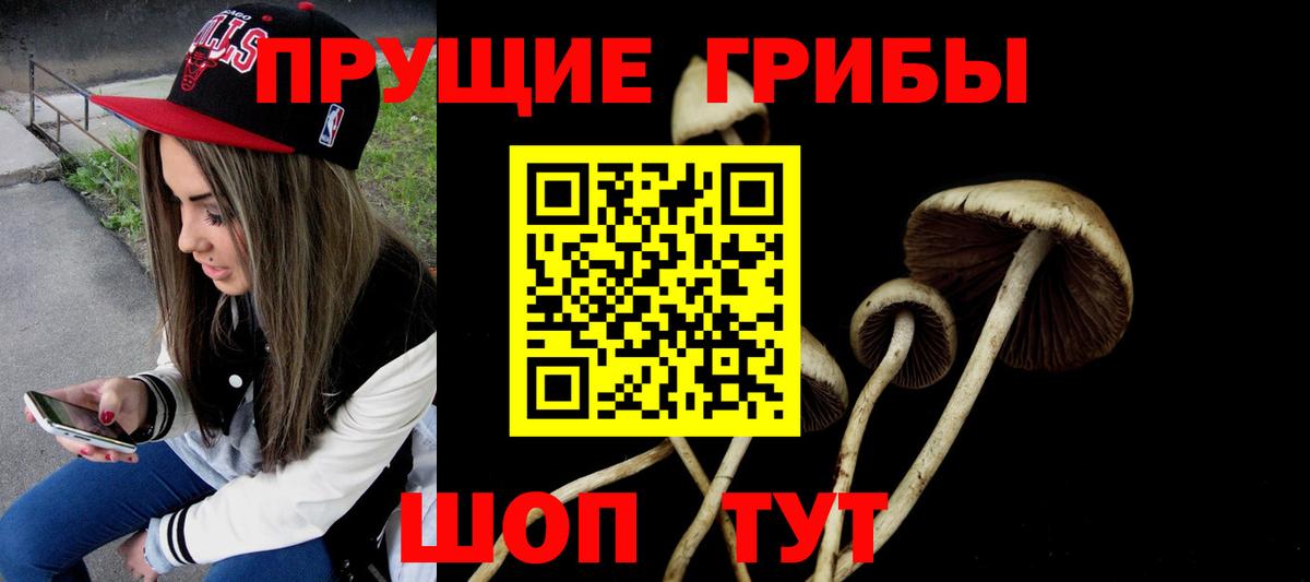 наркошоп  Галлюциногенные грибы GOLDEN TEACHER  Галлюциногенные грибы ЛСД  Вход с VPN  Уфа 
